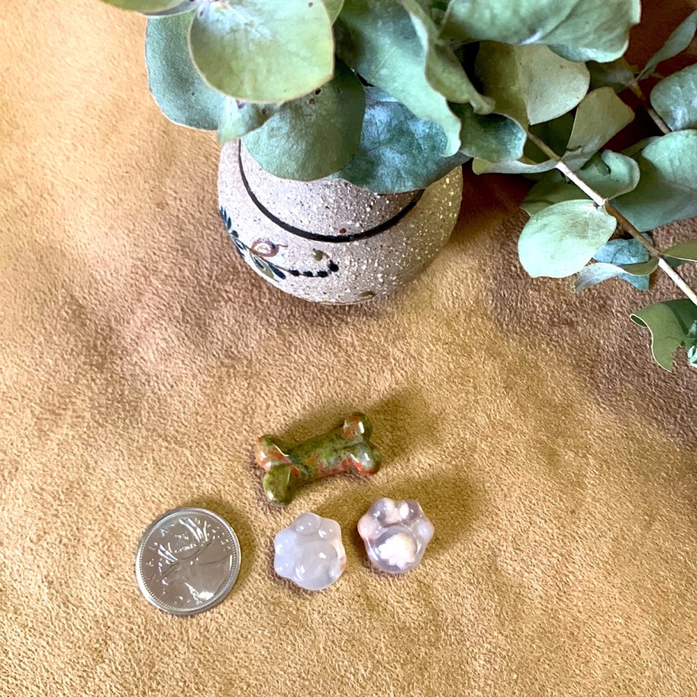 Unakite Bone and Flower Agate Paws Bundle